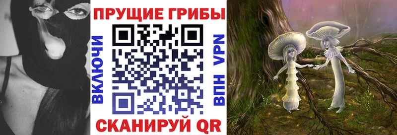 Галлюциногенные грибы Psilocybine cubensis  Купить где  Темрюк 