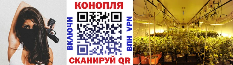 Шишки марихуана семена  Купить  Темрюк 